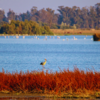 Doñana National Park, Spain