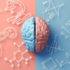 Stress and the brain