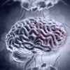 Mental exercise for a sharper brain