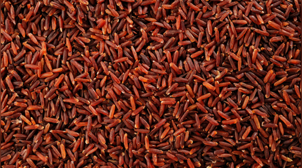 Red rice