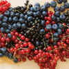 Berries
