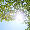 Hormonal changes affect vitamin D function