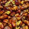 Silk on the plate - Eri polu