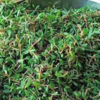 ​Chival Bhaji