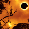 When is the next solar eclipse visible in the US?