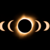 Where can you see it?