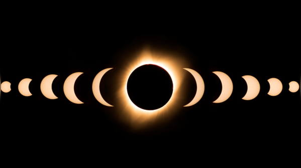 Where can you see it?
