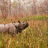 Orang National Park