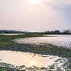 Nameri National Park