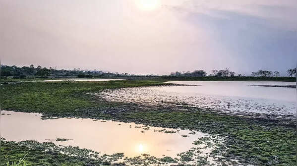 Nameri National Park