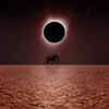 Animal behaviour during a solar eclipse