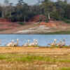 Satpura National Park