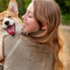 Corgi