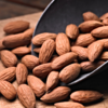 Almonds - protection and recovery