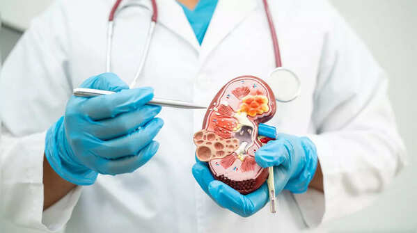 Myth 3: Long-term creatine use leads to kidney problems