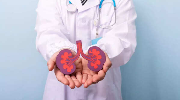 Myth 1: Creatine damages the kidneys in healthy people