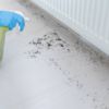 Natural repellents you can try