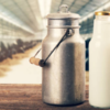 Dairy products are good for kidneys