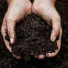 Improve soil quality