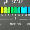 Balancing acidity in the body