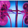 Keep your kidneys healthy