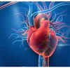 Protect your heart