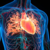 Lowers blood pressure and cholesterol levels