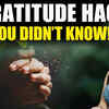 Article image for: The Secret Power of Fake <i class="tbold">gratitude</i> | Jai Madaan