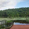Pilerne