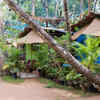 Agonda