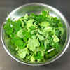 Benefits of moringa leaves