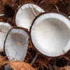 Coconut