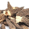 Guchi morels, Kashmir