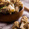 Gucchi Mushroom (Morel Mushroom)