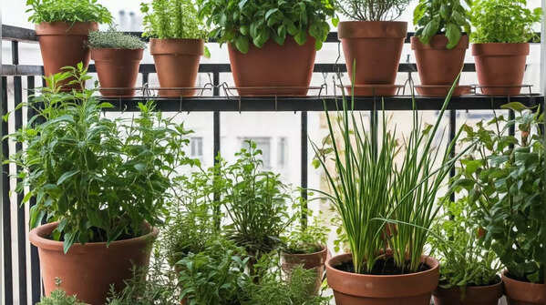 Vertical foliage and plants