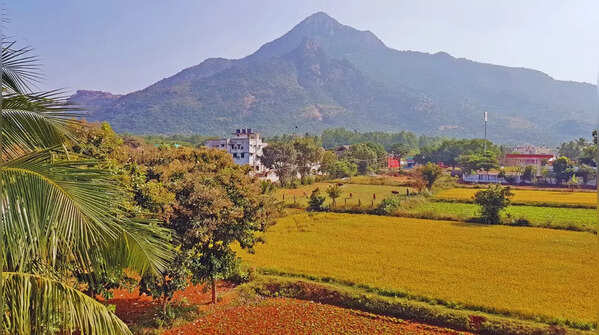 Arunachala Hill, Tamil Nadu