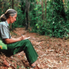 Article image for: Singing in the rain — how Jane Goodall and her chimpanzees changed our world
