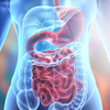 Digestion, soothed and steady