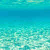 Almost lifeless waters
