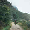 Take daily walks and move often