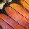 why do butterflies wings vibrate 2,040 Garter Belt Clothing Royalty-Free Images, Stock Photos & Pictures main image 1