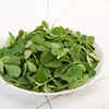 Methi Saag