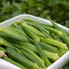 Other benefits of okra