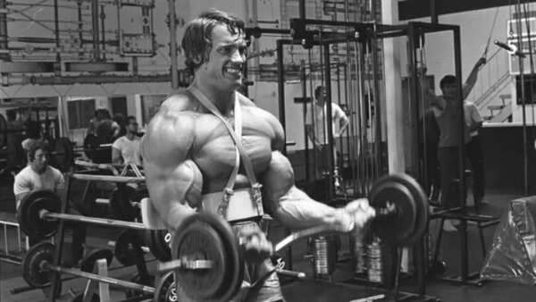 arnold schwarzenegger
