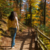 Check vitamin D levels regularly
