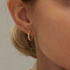 Small golden hoops