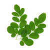 How are Moringa leaves for hair growth?