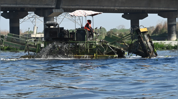 Aquatic Life Recovery: Healthy Ecosystem Restored