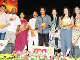 Music Launch: 'Dammu'