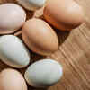 Brown eggs vs white eggs: myth broken